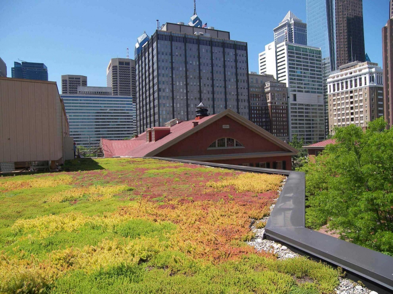 paysagiste-MOUGINS-min_green-roof-portfolio-4